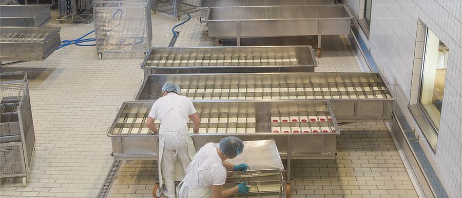 Cheesemaker lifting a fresh wheel out of its mould