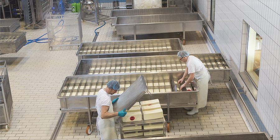 Production vat in the Drei Zinnen Dairy