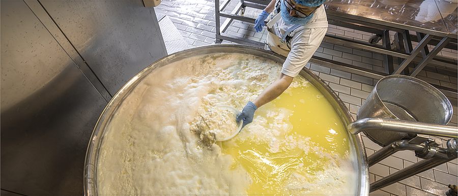 Ricotta flakes being skimmed from the hot whey