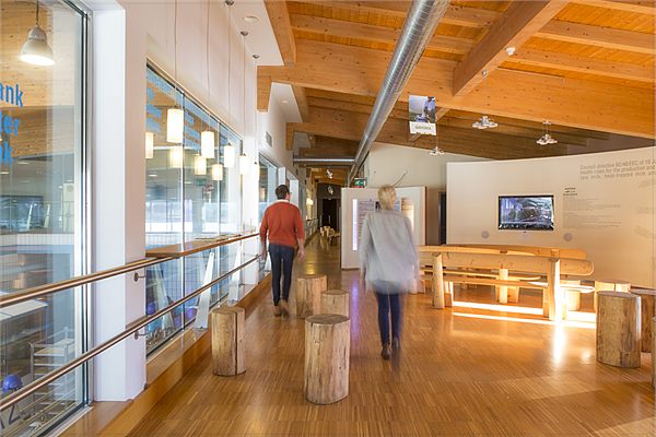Glass visitor walkway in Cheese World