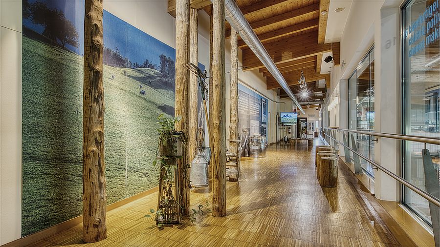 Il percorso espositivo di Mondolatte con la parete panoramica delle Tre Cime