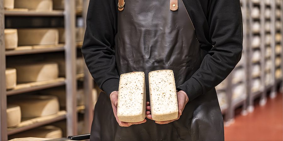 Two halves of Ortus in front of the ripening racks
