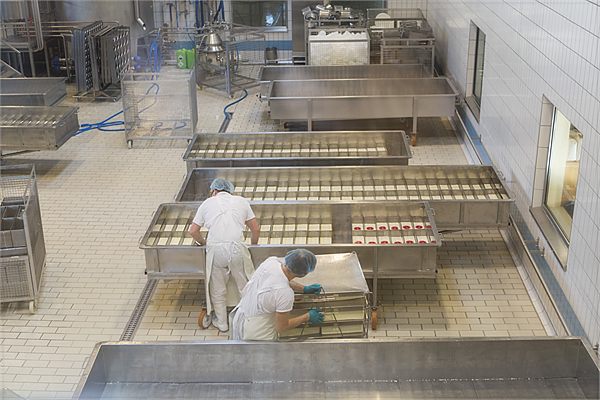Cheesemaker with a fresh wheel