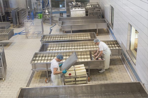Production vat in the dairy