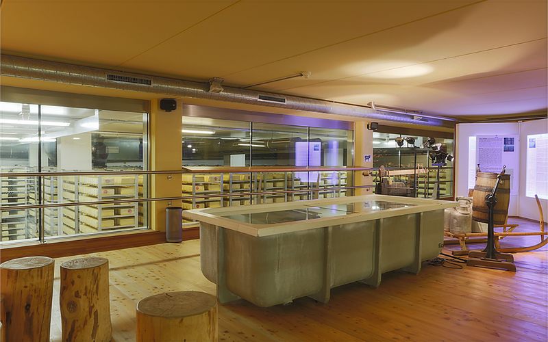A look into the ripening cellar