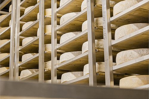 The ripening cellar