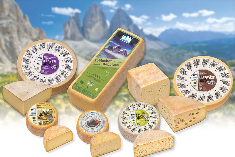 Käsesortiment der Sennerei Drei Zinnen vor den Drei Zinnen