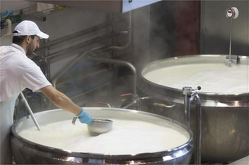 The cheesemaker at the vat