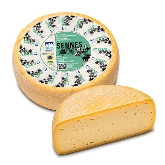 Sennes