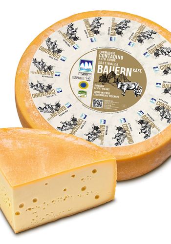 Südtiroler Bauernkäse
